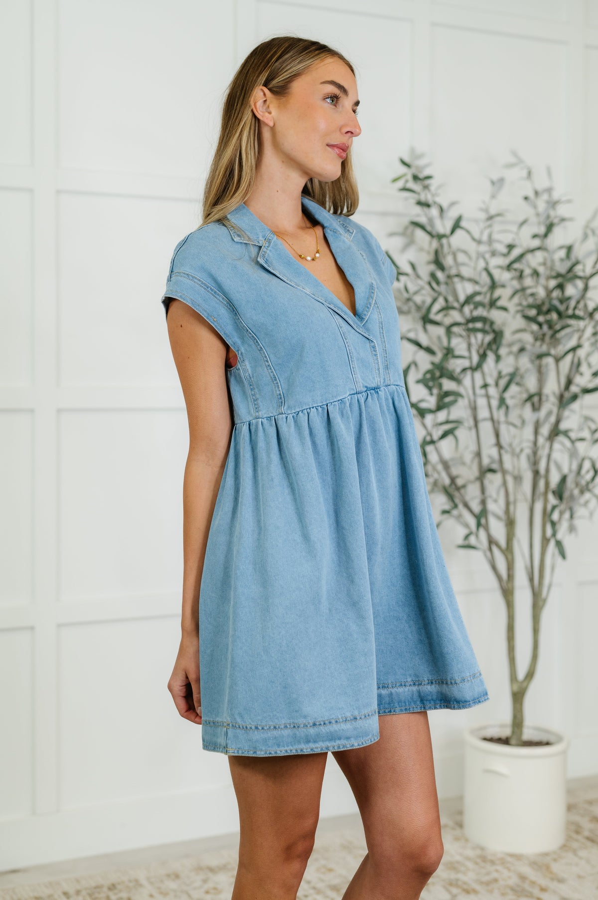 Woman wearing a light blue denim dress standing indoors with a plant in the background.