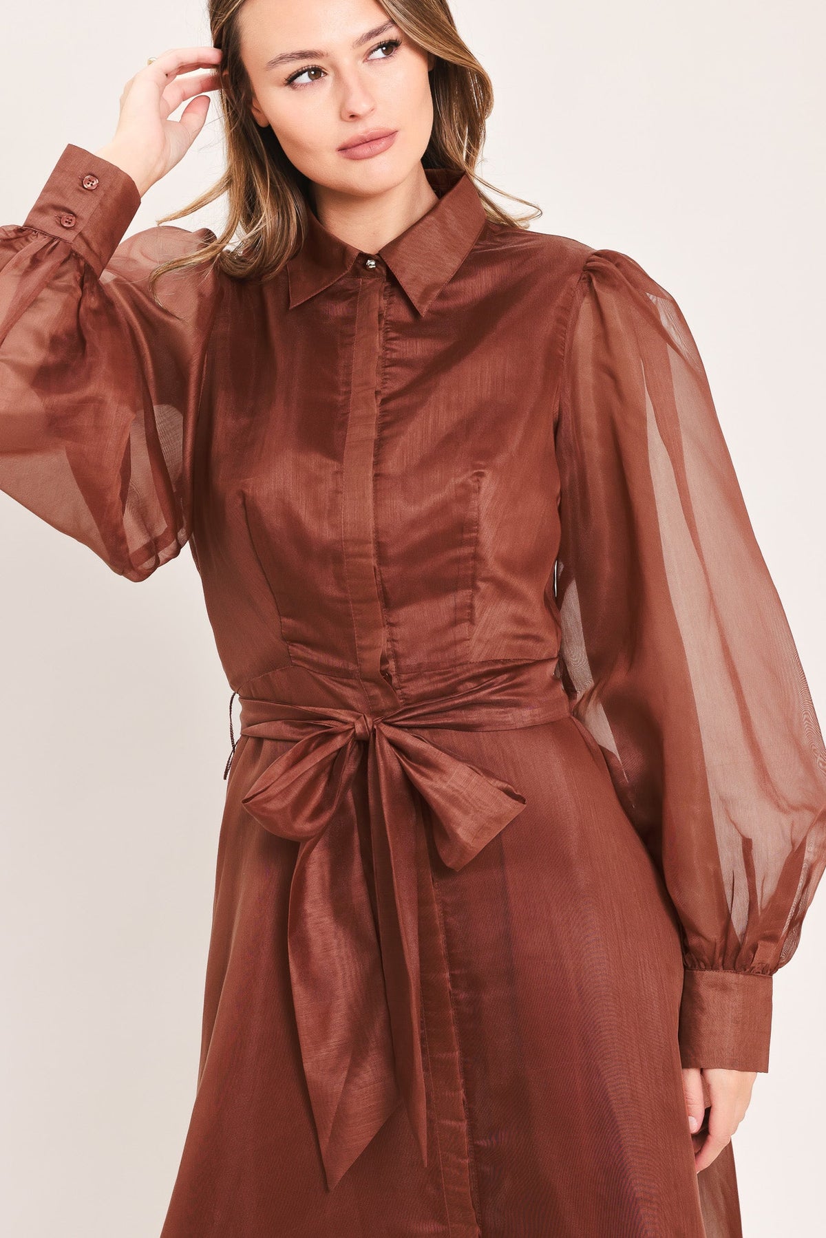 A woman wearing a brown long-sleeve collared dress with sheer balloon sleeves and a matching self-tie belt, photographed against a plain light background.