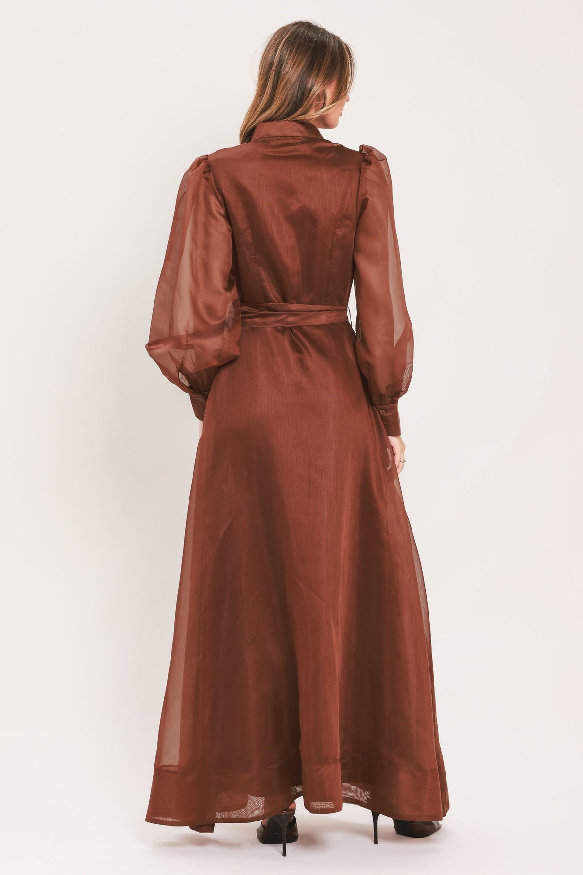A woman viewed from the back wearing a long rust-brown sheer maxi dress with long balloon sleeves and a matching waist tie, photographed against a plain light background.