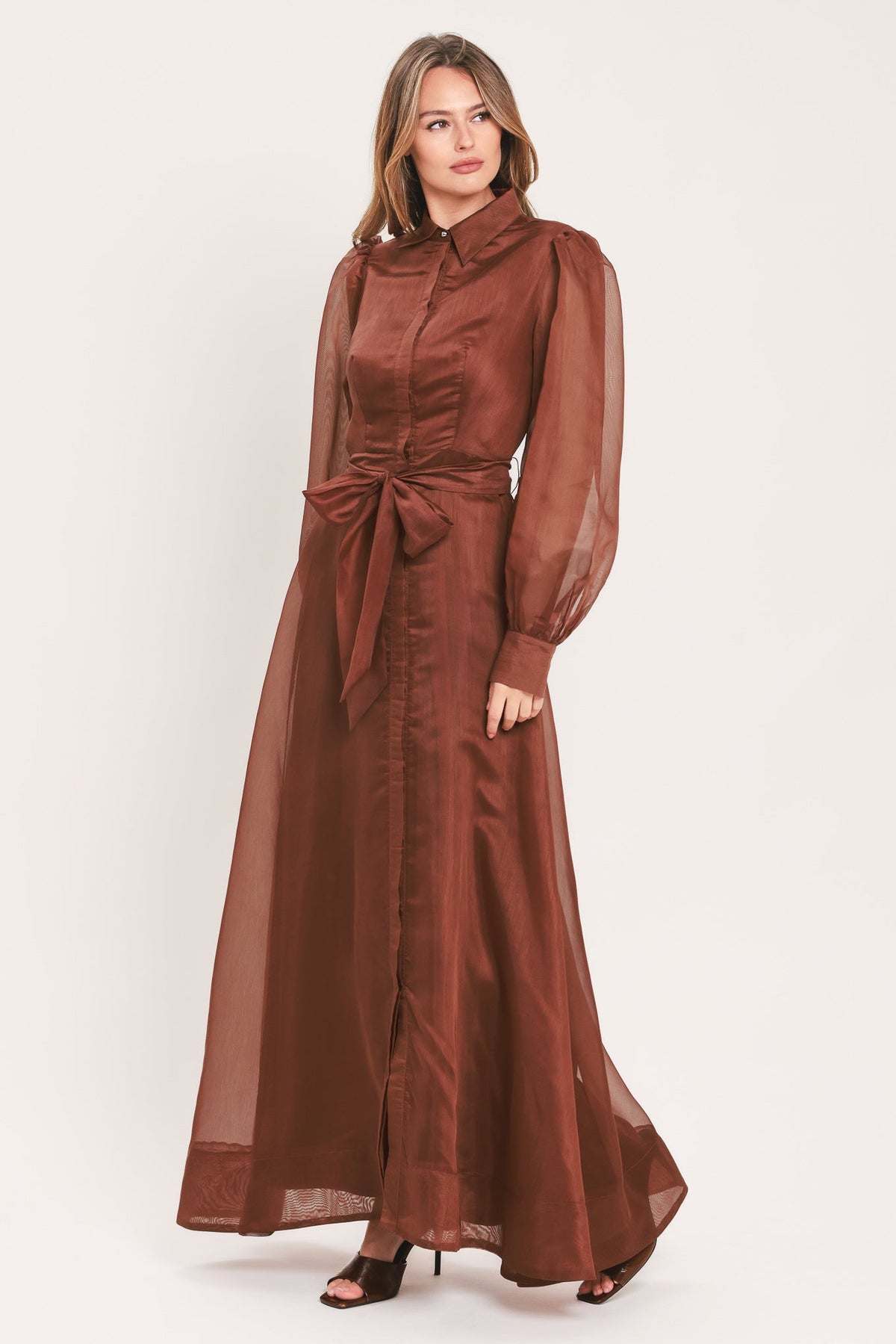 A woman modeling a long, rust-brown maxi dress with sheer balloon sleeves, a high collar, and a matching fabric tie belt at the waist, photographed against a plain light background.